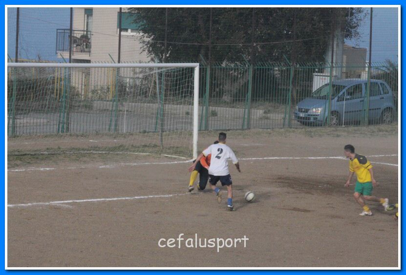 130406 delfini 201_tn.jpg